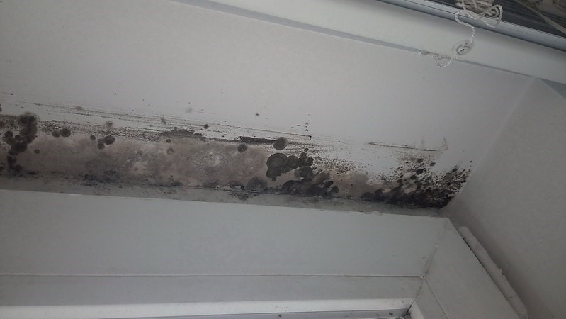 What Does Black Mould On Your Window Frames Mean?