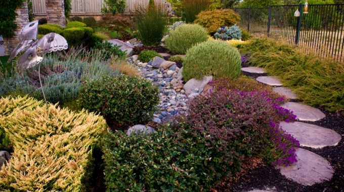 Landscape Design Suggestions