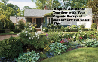Require Assistance Together with Your Organic Backyard garden Try out These Tips