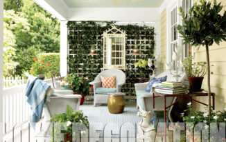 9 Beautiful Ways to Decorate Your House with Plants
