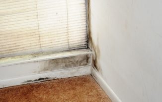 What Does Black Mould On Your Window Frames Mean?