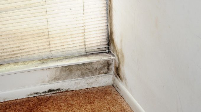 What Does Black Mould On Your Window Frames Mean?