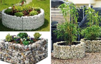 Warum Ist Die Verwendung Von Pflanzgefäßen In Ihrem Garten Eine Großartige Idee?