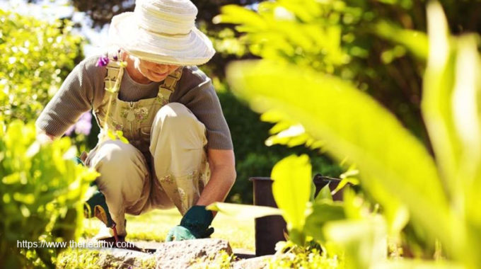 Protective Clothes For Outside Gardening