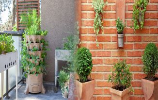 Vertical Gardening Solutions for Compact Backyard Spaces