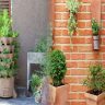 Vertical Gardening Solutions for Compact Backyard Spaces