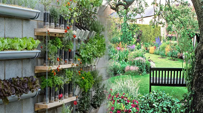 Best Small Garden Ideas on a Budget for Beginners