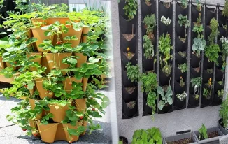 DIY Vertical Gardening Ideas for Small Spaces on a Budget