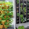 DIY Vertical Gardening Ideas for Small Spaces on a Budget