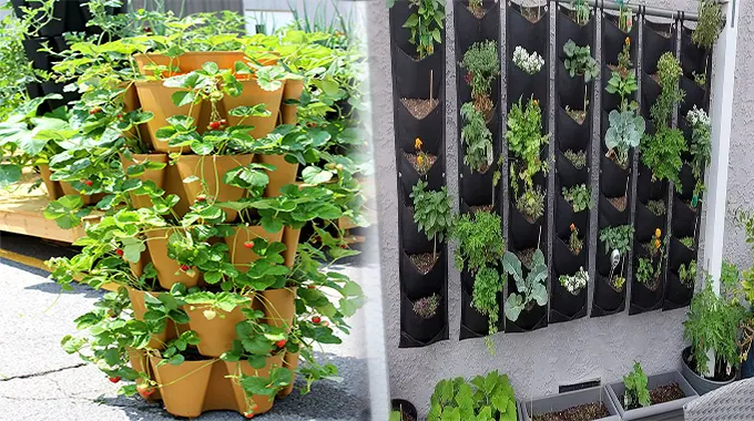 DIY Vertical Gardening Ideas for Small Spaces on a Budget