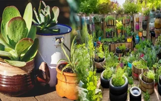 How to Use Recycled Materials for Small Garden Decor