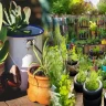 How to Use Recycled Materials for Small Garden Decor